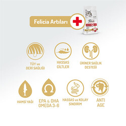 Felicia Hypoallergenic Kuzulu Düşük Tahıllı Yetişkin Kedi Maması 12 Kg - Thumbnail