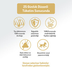 Felicia Hypoallergenic Medium Large Kuzulu Düşük Tahıllı Yetişkin Köpek Maması 15 Kg - Thumbnail
