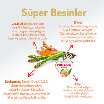 Felicia Hypoallergenic Medium Large Kuzulu Düşük Tahıllı Yetişkin Köpek Maması 3 Kg 