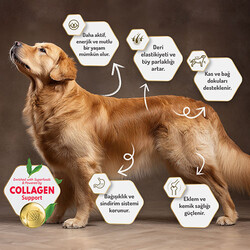 Felicia Hypoallergenic Medium Large Kuzulu Düşük Tahıllı Yetişkin Köpek Maması 3 Kg - Thumbnail