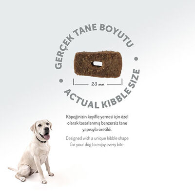 Felicia Hypoallergenic Medium Large Kuzulu Düşük Tahıllı Yetişkin Köpek Maması 3 Kg 