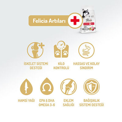 Felicia Hypoallergenic Medium Large Kuzulu Düşük Tahıllı Yetişkin Köpek Maması 6 Kg 