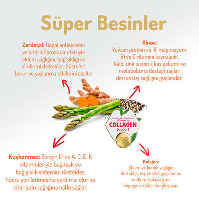 Felicia Hypoallergenic Medium Large Kuzulu Düşük Tahıllı Yetişkin Köpek Maması 6 Kg 