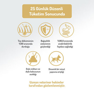 Felicia Hypoallergenic Medium Large Kuzulu Düşük Tahıllı Yetişkin Köpek Maması 6 Kg 