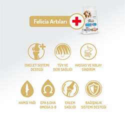 Felicia Hypoallergenic Medium Large Somonlu Düşük Tahıllı Yetişkin Köpek Maması 3 Kg - Thumbnail