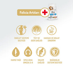 Felicia Hypoallergenic Medium Large Somonlu Düşük Tahıllı Yetişkin Köpek Maması 6 Kg - Thumbnail