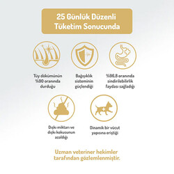Felicia Hypoallergenic Medium Large Somonlu Düşük Tahıllı Yetişkin Köpek Maması 6 Kg - Thumbnail