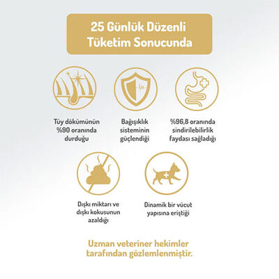 Felicia Hypoallergenic Medium Large Somonlu Düşük Tahıllı Yetişkin Köpek Maması 6 Kg 