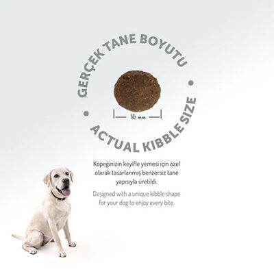 Felicia Hypoallergenic Medium Large Somonlu Düşük Tahıllı Yetişkin Köpek Maması 6 Kg 