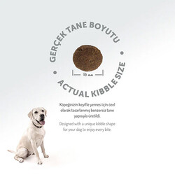 Felicia Hypoallergenic Medium Large Somonlu Düşük Tahıllı Yetişkin Köpek Maması 6 Kg - Thumbnail