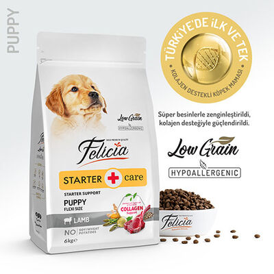 Felicia HypoAllergenic Small Mini Kuzulu Küçük Irk Düşük Tahıllı Yavru Köpek Maması 6 Kg 