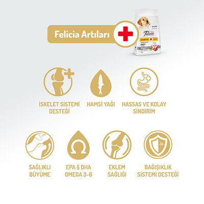 Felicia HypoAllergenic Small Mini Kuzulu Küçük Irk Düşük Tahıllı Yavru Köpek Maması 6 Kg 