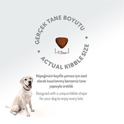 Felicia HypoAllergenic Small Mini Kuzulu Küçük Irk Düşük Tahıllı Yavru Köpek Maması 6 Kg - Thumbnail