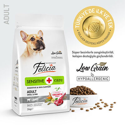 Felicia HypoAllergenic Small Mini Kuzulu Küçük Irk Düşük Tahıllı Yetişkin Köpek Maması 3 Kg 