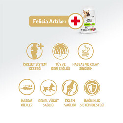 Felicia HypoAllergenic Small Mini Kuzulu Küçük Irk Düşük Tahıllı Yetişkin Köpek Maması 3 Kg - Thumbnail