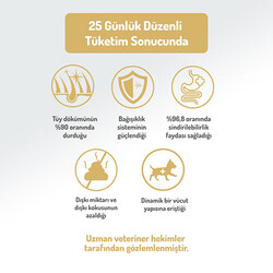 Felicia HypoAllergenic Small Mini Kuzulu Küçük Irk Düşük Tahıllı Yetişkin Köpek Maması 3 Kg - Thumbnail