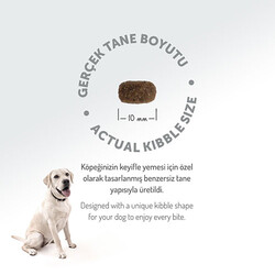 Felicia HypoAllergenic Small Mini Kuzulu Küçük Irk Düşük Tahıllı Yetişkin Köpek Maması 3 Kg - Thumbnail