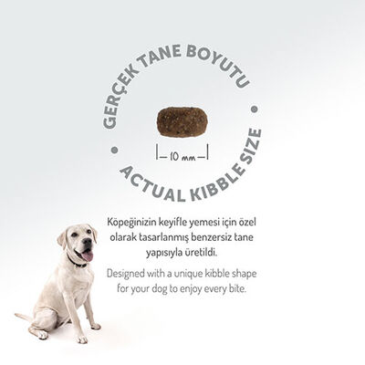 Felicia HypoAllergenic Small Mini Kuzulu Küçük Irk Düşük Tahıllı Yetişkin Köpek Maması 6 Kg 