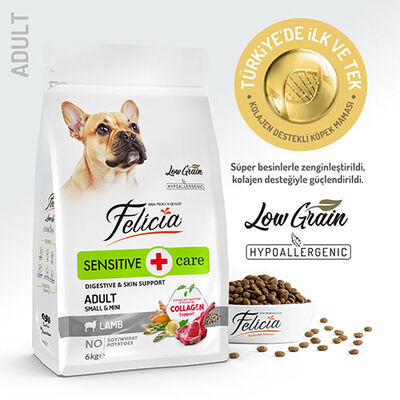 Felicia HypoAllergenic Small Mini Kuzulu Küçük Irk Düşük Tahıllı Yetişkin Köpek Maması 6 Kg 