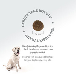 Felicia HypoAllergenic Small Mini Somonlu Küçük Irk Düşük Tahıllı Yetişkin Köpek Maması 6 Kg - Thumbnail