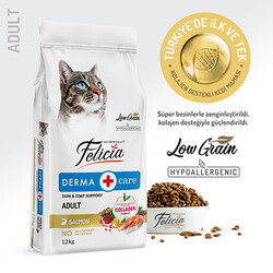 Felicia - Felicia Hypoallergenic Somonlu Düşük Tahıllı Yetişkin Kedi Maması 12 Kg 