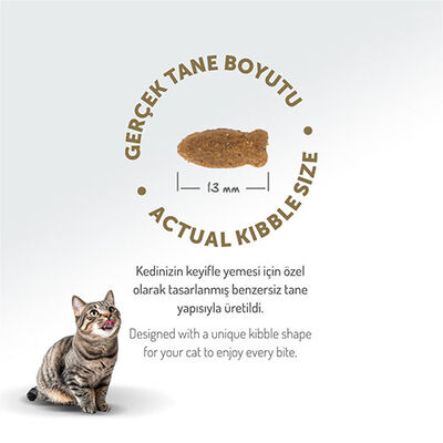 Felicia Hypoallergenic Somonlu Düşük Tahıllı Yetişkin Kedi Maması 12 Kg 