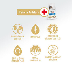 Felicia Hypoallergenic Somonlu Düşük Tahıllı Yetişkin Kedi Maması 12 Kg - Thumbnail