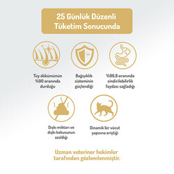 Felicia Hypoallergenic Somonlu Düşük Tahıllı Yetişkin Kedi Maması 12 Kg - Thumbnail