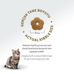 Felicia Hypoallergenic Tavuklu Düşük Tahıllı Yetişkin Kedi Maması 12 Kg - Thumbnail