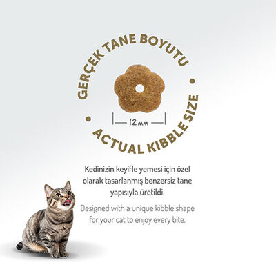 Felicia Hypoallergenic Tavuklu Düşük Tahıllı Yetişkin Kedi Maması 12 Kg 