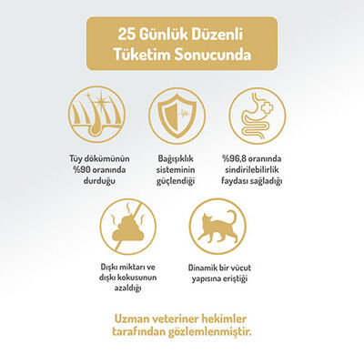 Felicia Hypoallergenic Tavuklu ve Hamsili Düşük Tahıllı Yavru Kedi Maması 12 Kg 