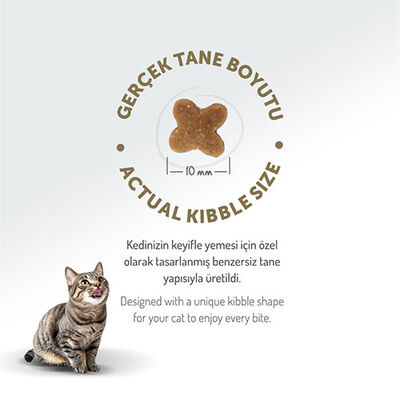 Felicia Hypoallergenic Tavuklu ve Hamsili Düşük Tahıllı Yavru Kedi Maması 12 Kg 