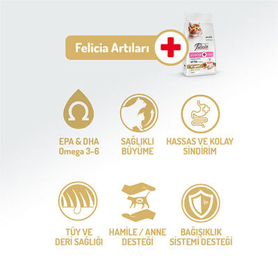 Felicia Hypoallergenic Tavuklu ve Hamsili Düşük Tahıllı Yavru Kedi Maması 2 Kg 