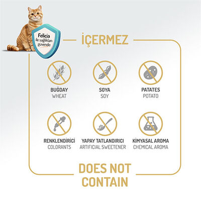 Felicia Hypoallergenic Tavuklu ve Hamsili Düşük Tahıllı Yavru Kedi Maması 2 Kg 