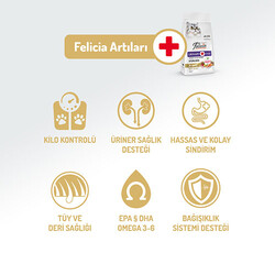Felicia Hypoallergenic Urinary Somonlu Düşük Tahıllı Kısırlaştırılmış Kedi Maması 2 Kg - Thumbnail