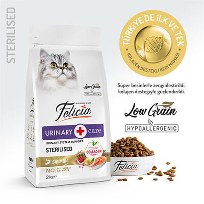 Felicia Hypoallergenic Urinary Somonlu Düşük Tahıllı Kısırlaştırılmış Kedi Maması 2 Kg 
