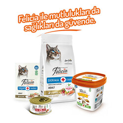 Felicia Vitality Crunch Sığır Etli Yaban Mersinli ve Sütlü Kedi Ödül Maması 100 Gr - Thumbnail