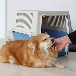 Ferplast Atlas 30 Kedi ve Küçük Irk Köpek Taşıma Kabı 40x60x38 Cm Mavi - Thumbnail