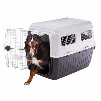 Ferplast Atlas 80 Professional Köpek Taşıma Kafesi 118x80x88 Cm 