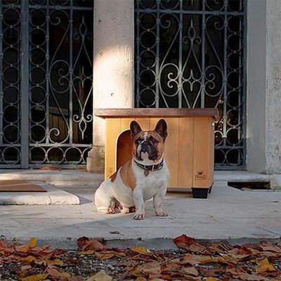 Ferplast Baita 80 Ahşap Köpek Kulübesi 69x102x68 Cm 