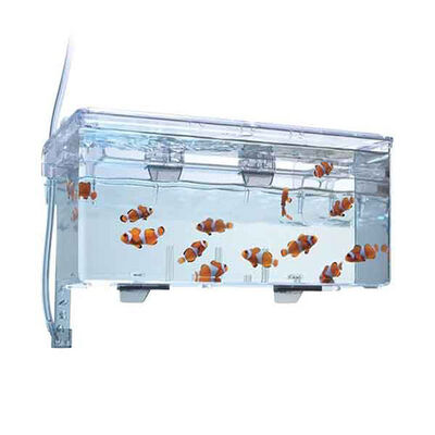 Fluval Askı Plastik Büyük Yavruluk 26x14x12 Cm 