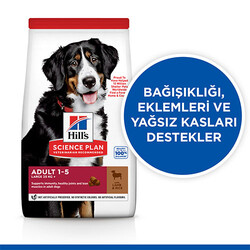 Hill’s SCIENCE PLAN Adult Large Breed Lamb & Rice Büyük Irk Kuzulu Yetişkin Köpek Maması 14 Kg - Thumbnail