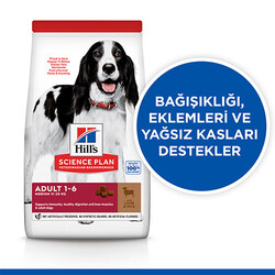 Hill’s SCIENCE PLAN Adult Medium Lamb & Rice Orta Irk Kuzulu Yetişkin Köpek Maması 14 Kg - Thumbnail