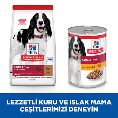 Hill’s SCIENCE PLAN Adult Medium Lamb & Rice Orta Irk Kuzulu Yetişkin Köpek Maması 14 Kg 