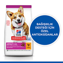 Hill’s SCIENCE PLAN Adult Small & Mini Chicken Küçük Irk Tavuklu Yetişkin Köpek Maması 3 Kg - Thumbnail