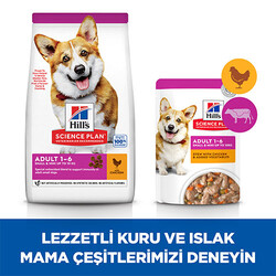Hill’s SCIENCE PLAN Adult Small & Mini Chicken Küçük Irk Tavuklu Yetişkin Köpek Maması 3 Kg - Thumbnail