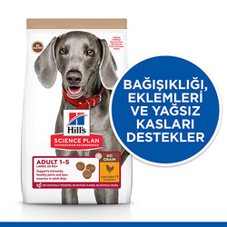 Hill’s SCIENCE PLAN No Grain Adult Large Tavuklu Tahılsız Yetişkin Köpek Maması 12 Kg - Thumbnail