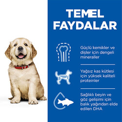 Hill’s SCIENCE PLAN Puppy Large Breed Chicken Büyük Irk Tavuklu Yavru Köpek Maması 2,5 Kg - Thumbnail