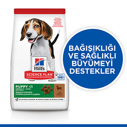 Hill’s SCIENCE PLAN Puppy Medium Lamb & Rich Orta Irk Kuzulu Yavru Köpek Maması 14 Kg - Thumbnail