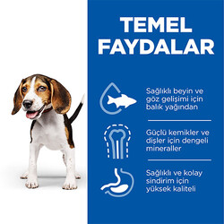Hill’s SCIENCE PLAN Puppy Medium Lamb & Rich Orta Irk Kuzulu Yavru Köpek Maması 14 Kg - Thumbnail
